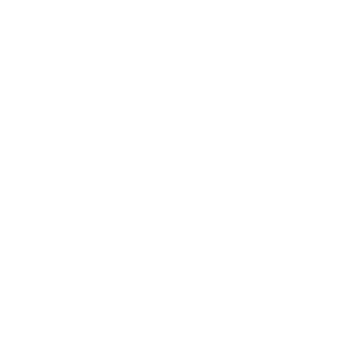 Feldberg logo