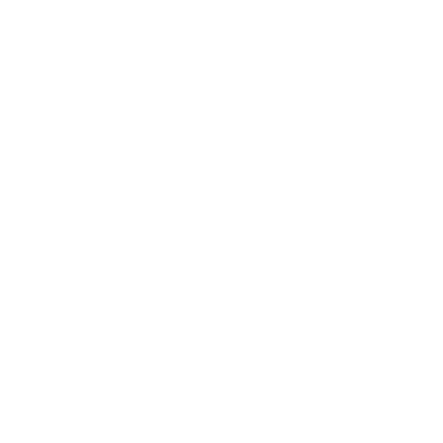 Knight Dragon