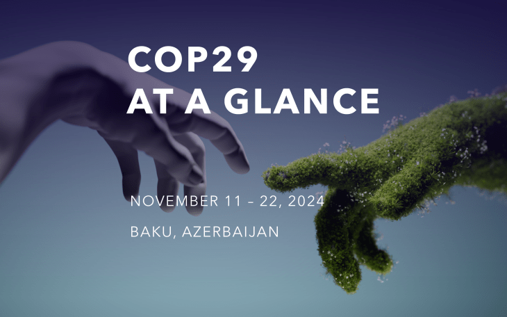 cop29
