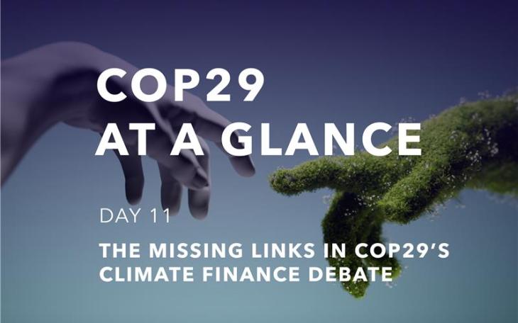 cop29 11