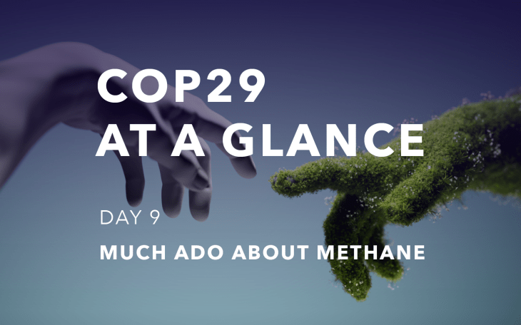 COP29