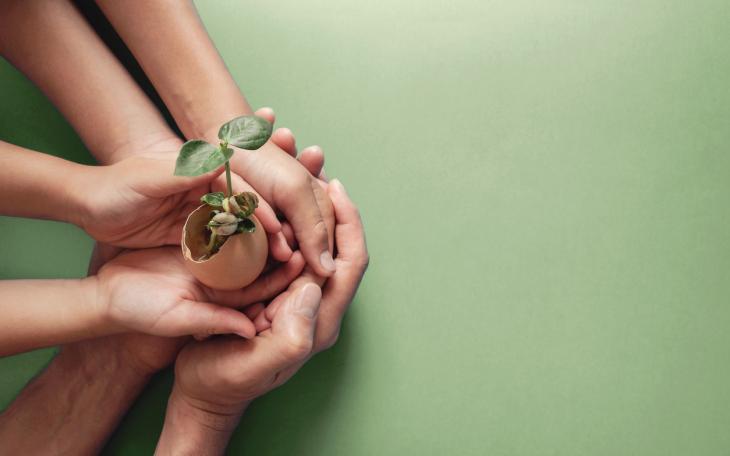 Purpose & Sustainability 