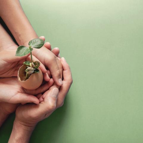 Purpose & Sustainability 